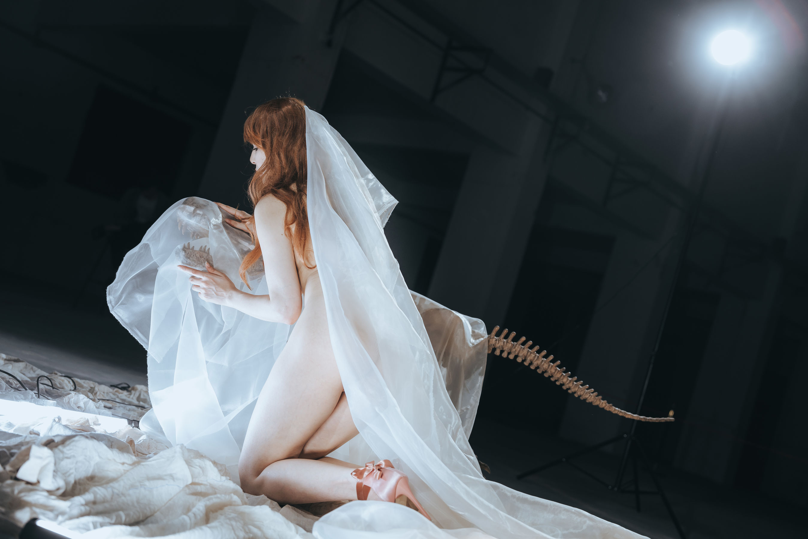 秋和柯基(夏小秋秋秋) – 纱 Cosplay-第3张