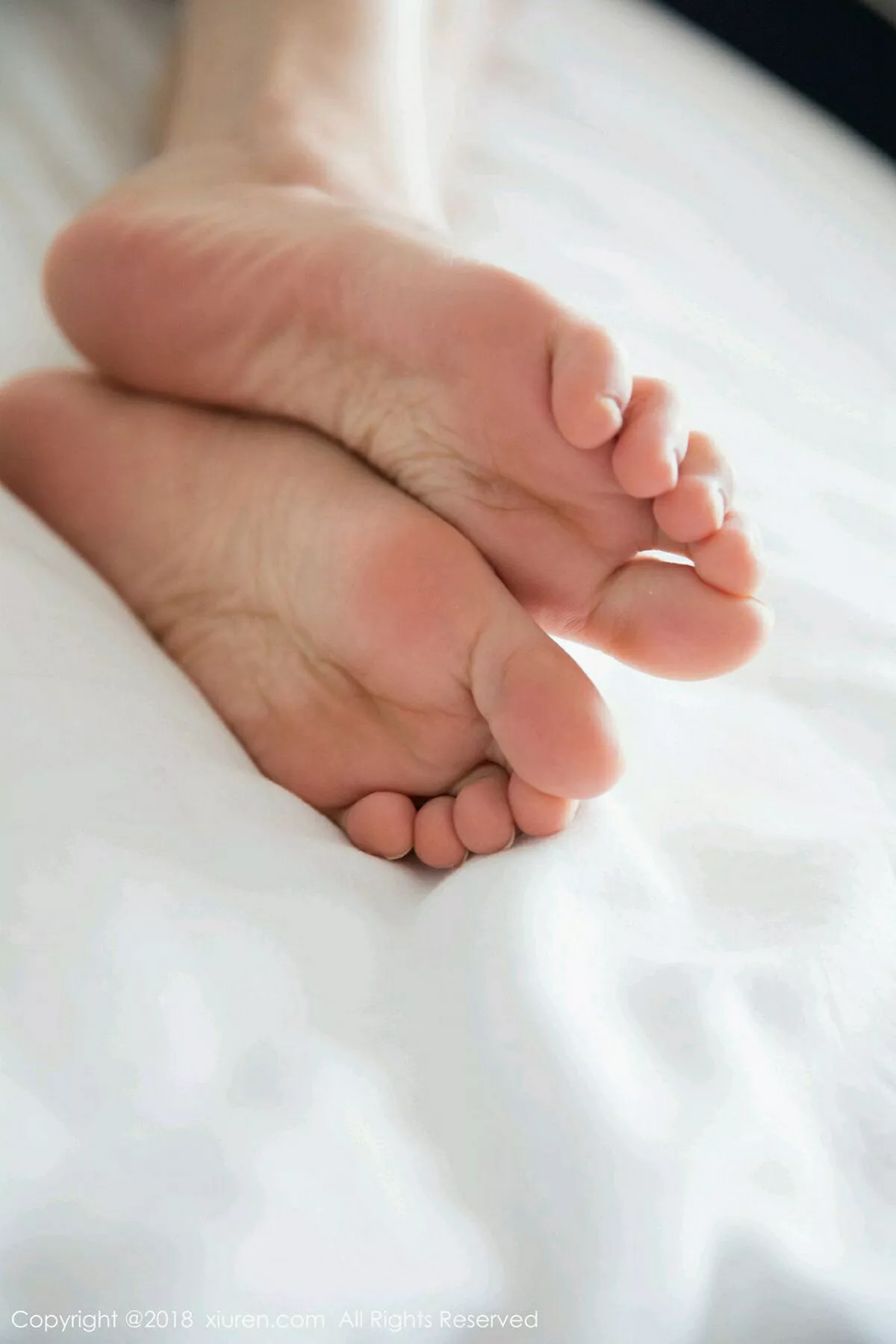 [XiuRen秀人网]第1134期杨晨晨写真  第11张-《94零社区》