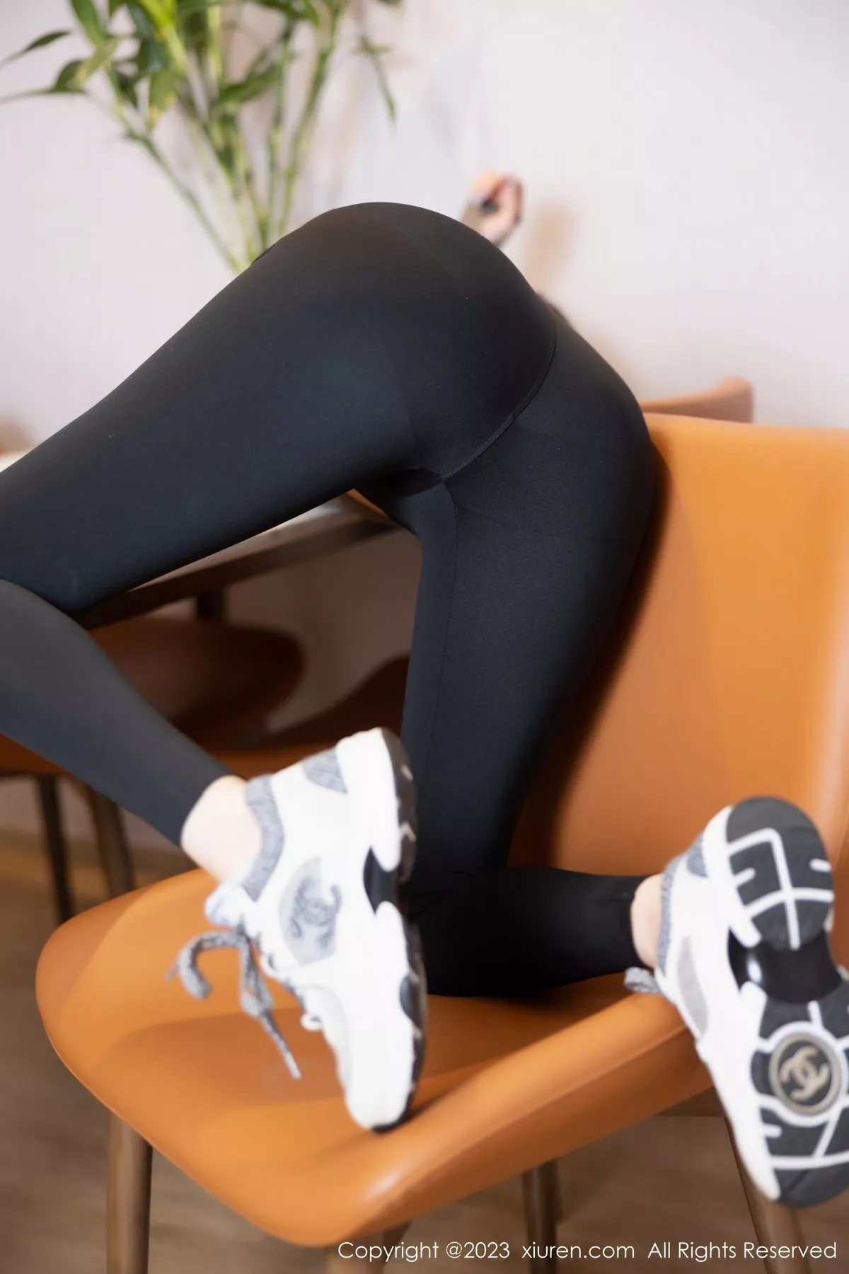 [XiuRen秀人网]第6825期杨晨晨写真  第22张-《94零社区》