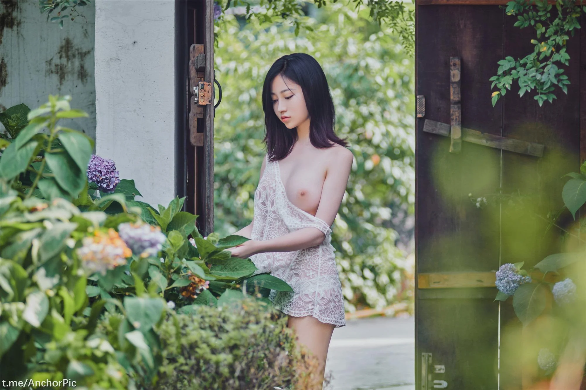 年年 - 夏日精灵 41P  第2张-《94零社区》