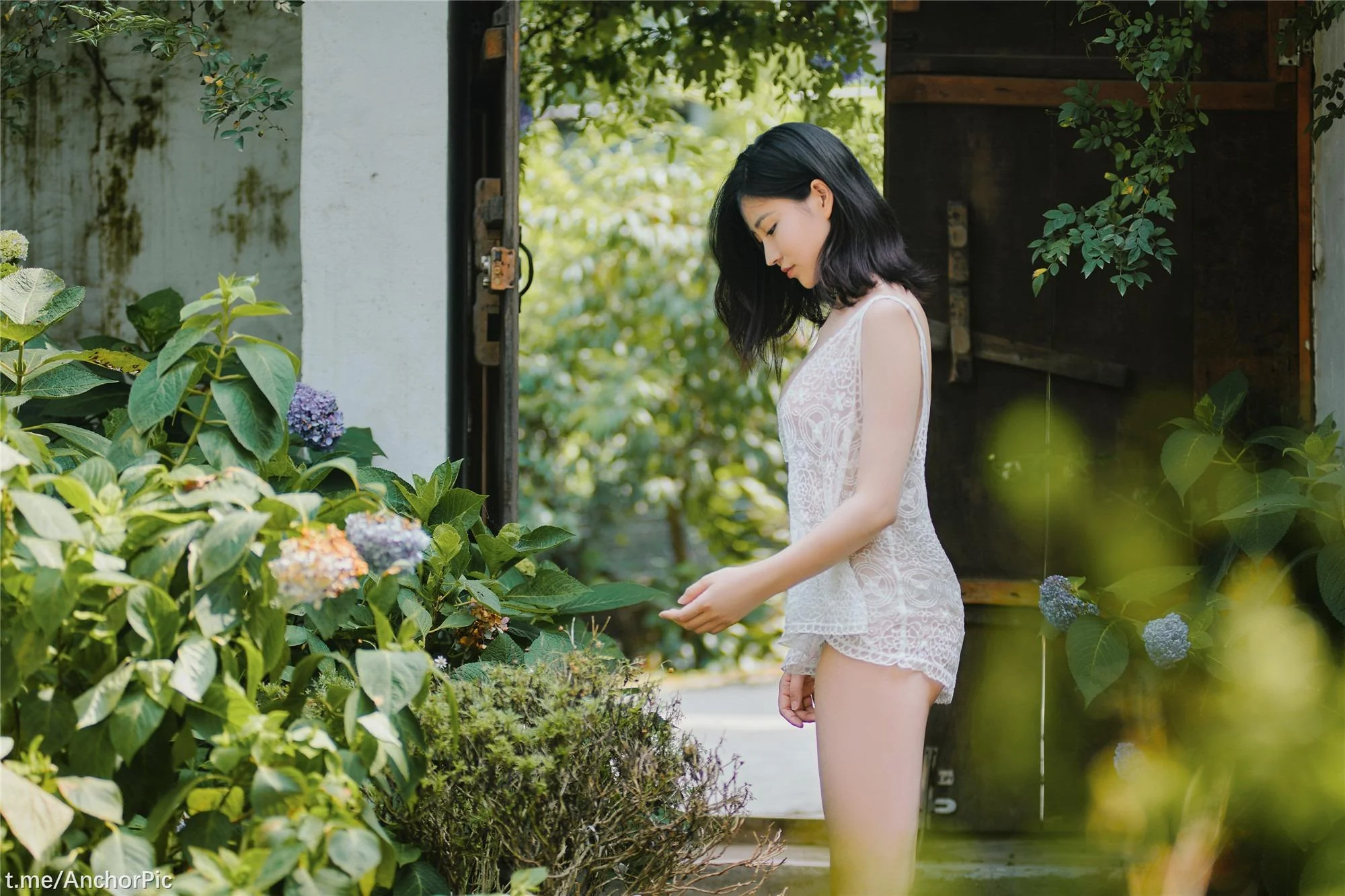 年年 - 夏日精灵 41P  第39张-《94零社区》